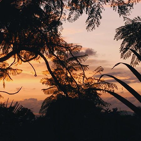 Kampala Forest Resort - Kfr Lodge 외부 사진