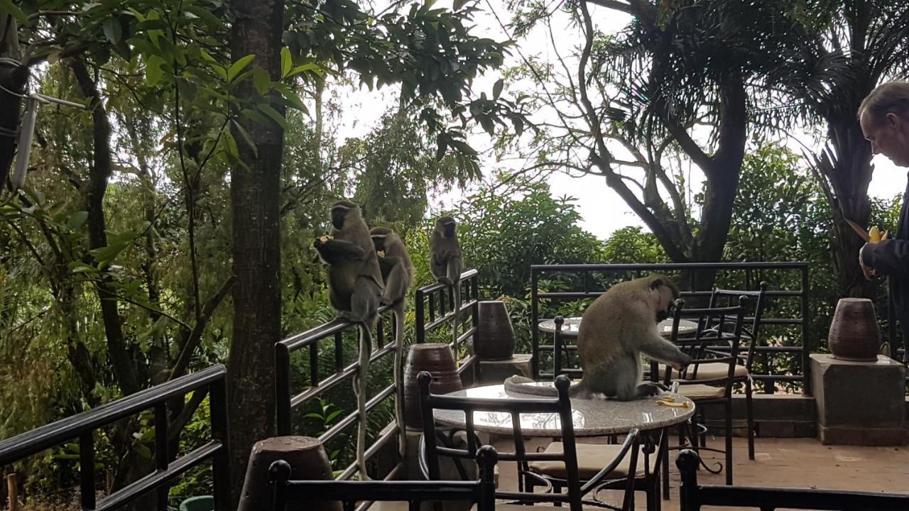 Kampala Forest Resort - Kfr Lodge 외부 사진
